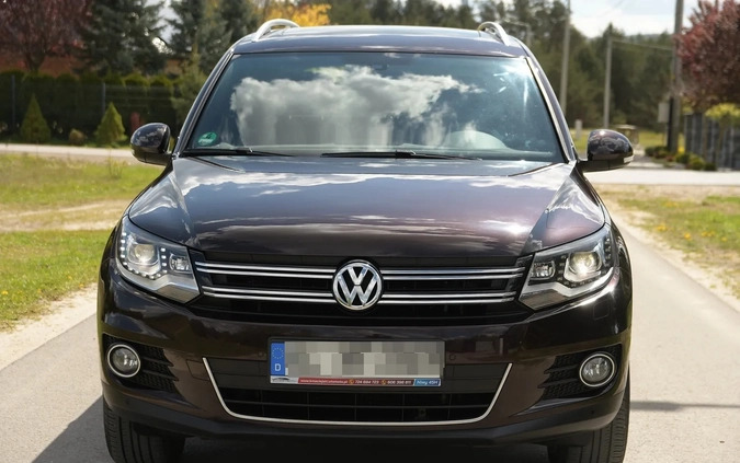 Volkswagen Tiguan cena 59900 przebieg: 182000, rok produkcji 2013 z Lubomierz małe 704